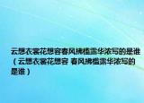 云想衣裳花想容春风拂槛露华浓写的是谁（云想衣裳花想容 春风拂槛露华浓写的是谁）