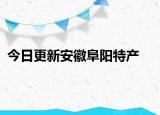 今日更新安徽阜阳特产