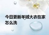 今日更新羊绒大衣在家怎么洗