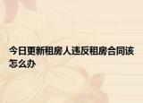 今日更新租房人违反租房合同该怎么办