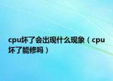 cpu坏了会出现什么现象（cpu坏了能修吗）