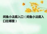 闲鱼小法庭入口（闲鱼小法庭入口在哪里）