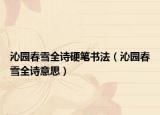 沁园春雪全诗硬笔书法（沁园春雪全诗意思）