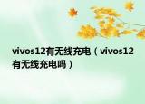 vivos12有无线充电（vivos12有无线充电吗）