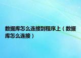 数据库怎么连接到程序上（数据库怎么连接）