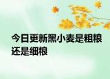 今日更新黑小麦是粗粮还是细粮