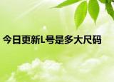 今日更新L号是多大尺码