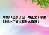 苹果11进水了但一切正常（苹果11进水了会出现什么情况）
