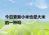今日更新小米也是大米的一种吗