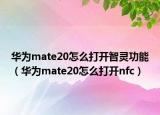 华为mate20怎么打开智灵功能（华为mate20怎么打开nfc）