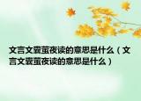 文言文囊萤夜读的意思是什么（文言文囊萤夜读的意思是什么）