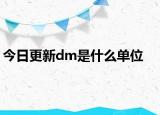 今日更新dm是什么单位