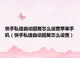 快手私信自动回复怎么设置苹果手机（快手私信自动回复怎么设置）