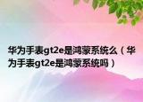 华为手表gt2e是鸿蒙系统么（华为手表gt2e是鸿蒙系统吗）