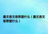 盖文言文意思是什么（盖文言文意思是什么）