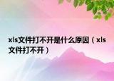 xls文件打不开是什么原因（xls文件打不开）