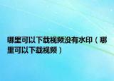 哪里可以下载视频没有水印（哪里可以下载视频）