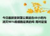 今日最新更新蒲公英能在48小时内消灭98%癌细胞是真的吗 用对是宝