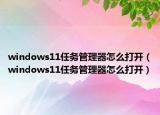 windows11任务管理器怎么打开（windows11任务管理器怎么打开）