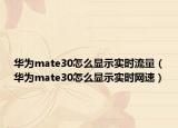 华为mate30怎么显示实时流量（华为mate30怎么显示实时网速）