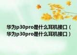 华为p30pro是什么耳机接口（华为p30pro是什么耳机接口）