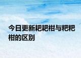 今日更新耙耙柑与粑粑柑的区别