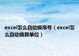 excel怎么自动换序号（excel怎么自动换算单位）