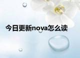 今日更新nova怎么读