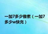 一加7多少像素（一加7多少w快充）