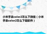 小米手表color2怎么下微信（小米手表color2怎么下载软件）