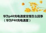 华为p40充电速度变慢怎么回事（华为P40充电速度）