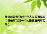 微信能设置只对一个人三天可见吗（微信可以对一个人设置三天可见吗）