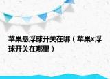 苹果悬浮球开关在哪（苹果x浮球开关在哪里）