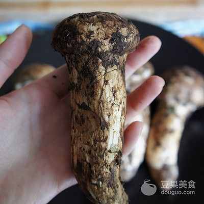 一只松茸的N种吃法--大云南野生菌（1）
