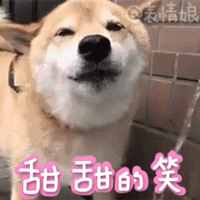 你知道吗，风油精是可以喝的！还有你想不到的神用途！