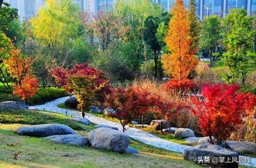 无锡：必去的13个免费景区！自驾，徒步，散心都行！