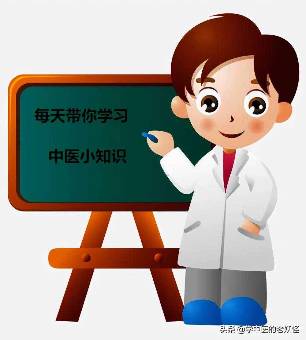 中药里的野菊花