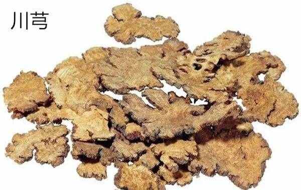 过敏性鼻炎常用、效佳的药对