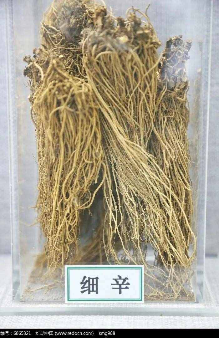 过敏性鼻炎常用、效佳的药对