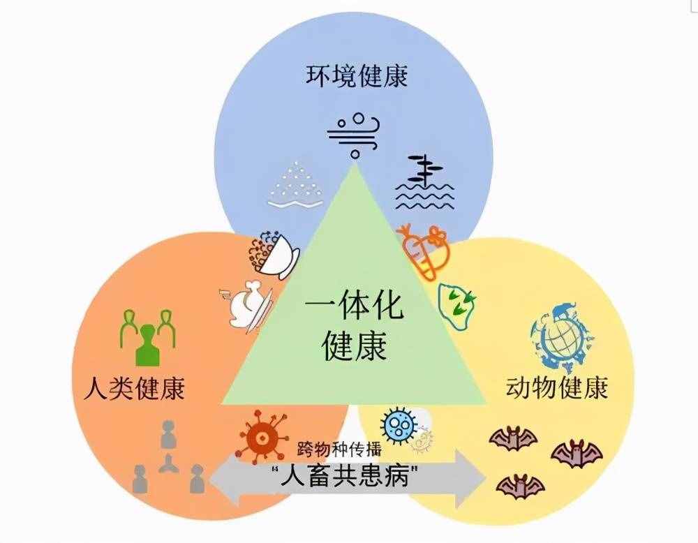 动物防疫法5月1日起施行，关系到畜禽和宠物！