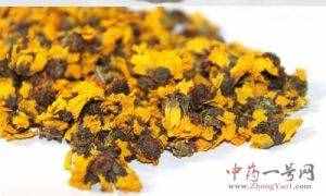 昆仑雪菊