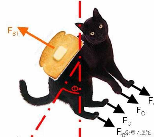 论黄油猫悖论 矛盾的存在组合体 黄油和猫到底孰是孰非