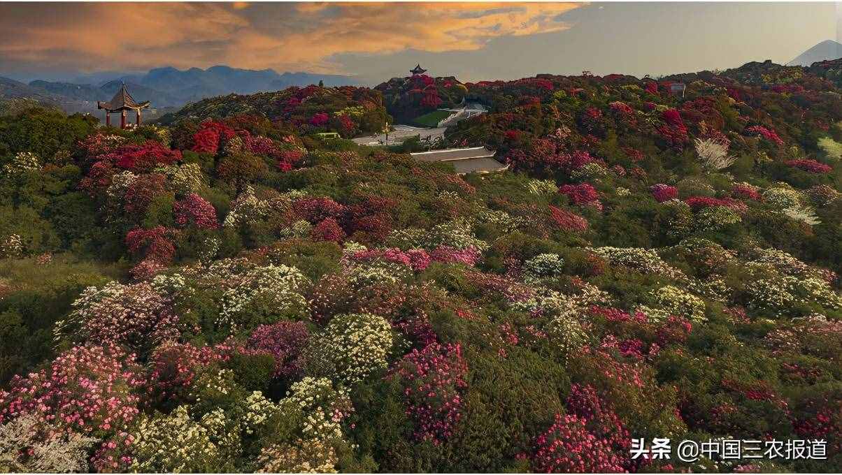 清明踏青小指南｜人间最美四月天 这10个地方值得一去