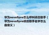 华为nova9pro怎么呼叫语音助手（华为nova9pro语音助手名字怎么自定义）