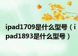 ipad1709是什么型号（ipad1893是什么型号）