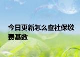 今日更新怎么查社保缴费基数