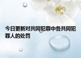 今日更新对共同犯罪中各共同犯罪人的处罚