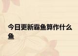 今日更新霸鱼算作什么鱼