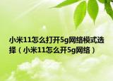 小米11怎么打开5g网络模式选择（小米11怎么开5g网络）