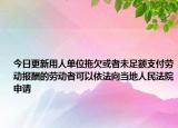 今日更新用人单位拖欠或者未足额支付劳动报酬的劳动者可以依法向当地人民法院申请